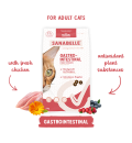 Sanabelle Gastrointestinal (Санабелль Гастроинтестинал)- для кошек при расстройствах пищеварения 8кг